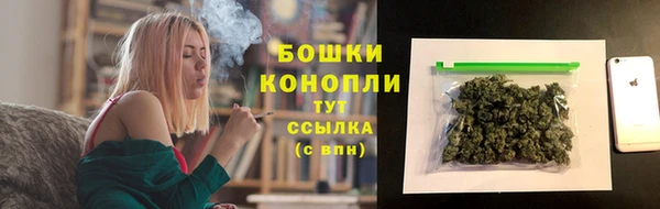 молекула духа Нягань