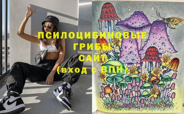 твердый Няндома