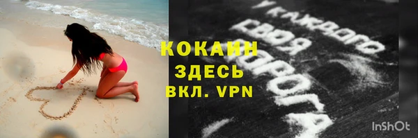 твердый Няндома