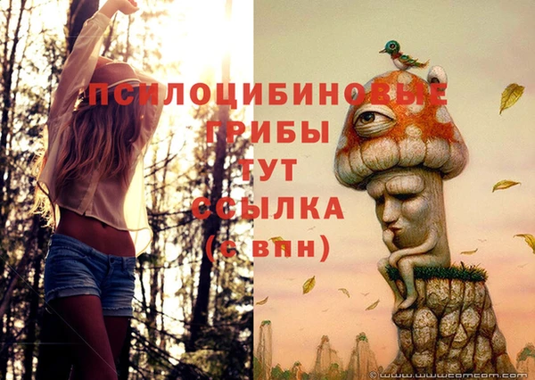 твердый Няндома