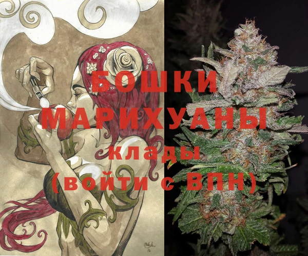 молекула духа Нягань