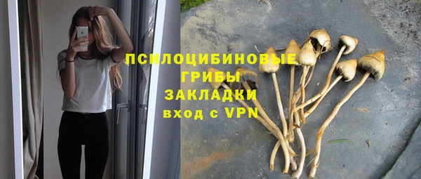 молекула духа Нягань