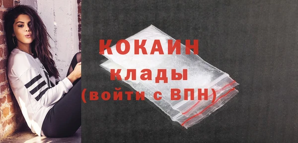 твердый Няндома