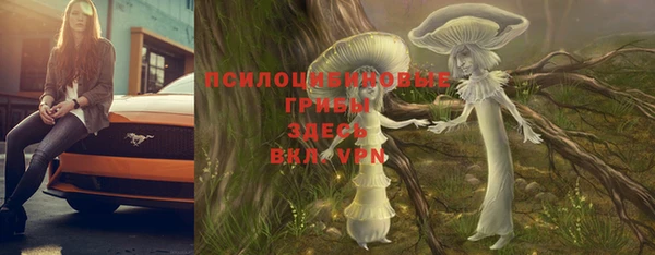 mdpv Нязепетровск