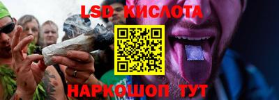 mdpv Заводоуковск