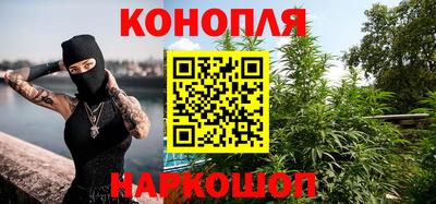 mdpv Заводоуковск