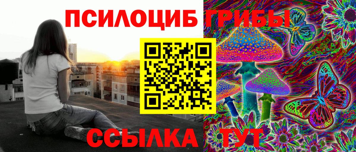 Галлюциногенные грибы Psilocybe Биробиджан